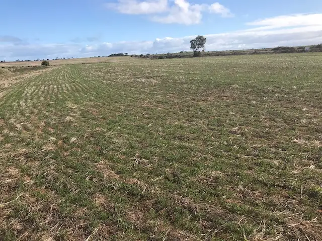 Seventh view of Homely rural property listing, 233 Port Parham Rd, Dublin SA 5501