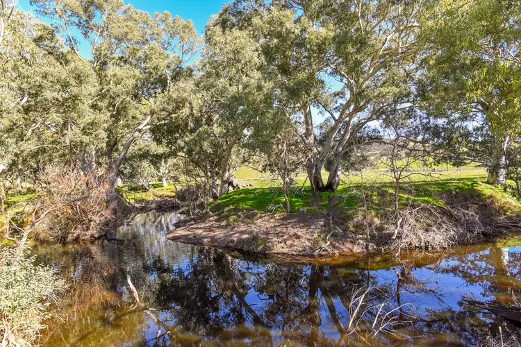 Second view of Homely rural property listing, 420 Signal Flat Road, Ashbourne SA 5157