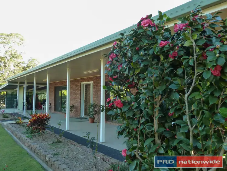 Fourth view of Homely rural property listing, 4 Lamberton Lane Ettrick Via, Kyogle NSW 2474
