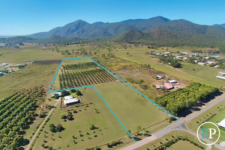Lot 100 Williams Road, Alligator Creek QLD 4816