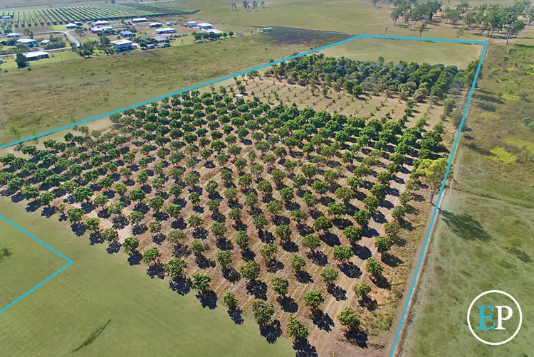 Fifth view of Homely land listing, Lot 100 Williams Road, Alligator Creek QLD 4816