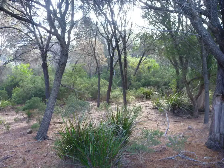 Third view of Homely land listing, Lot 1 Top Road, Greens Beach TAS 7270