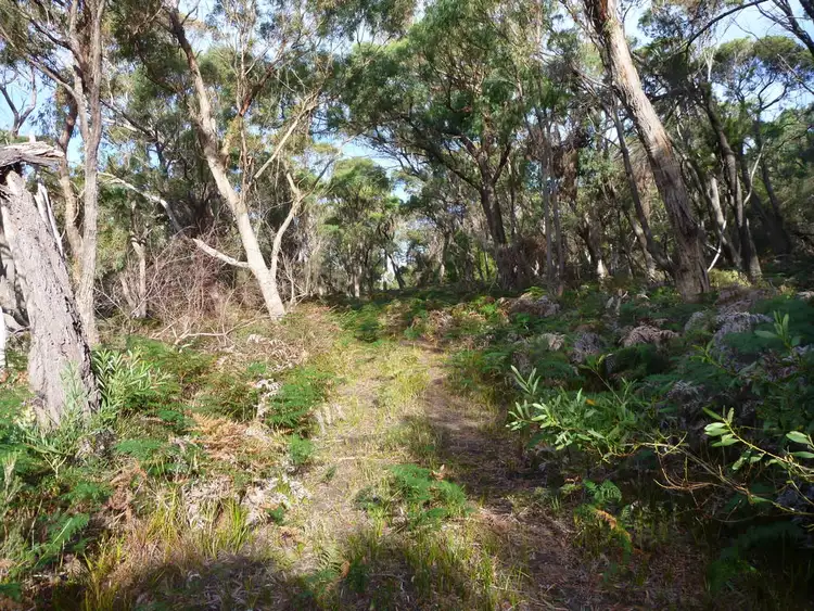 Fifth view of Homely land listing, Lot 1 Top Road, Greens Beach TAS 7270