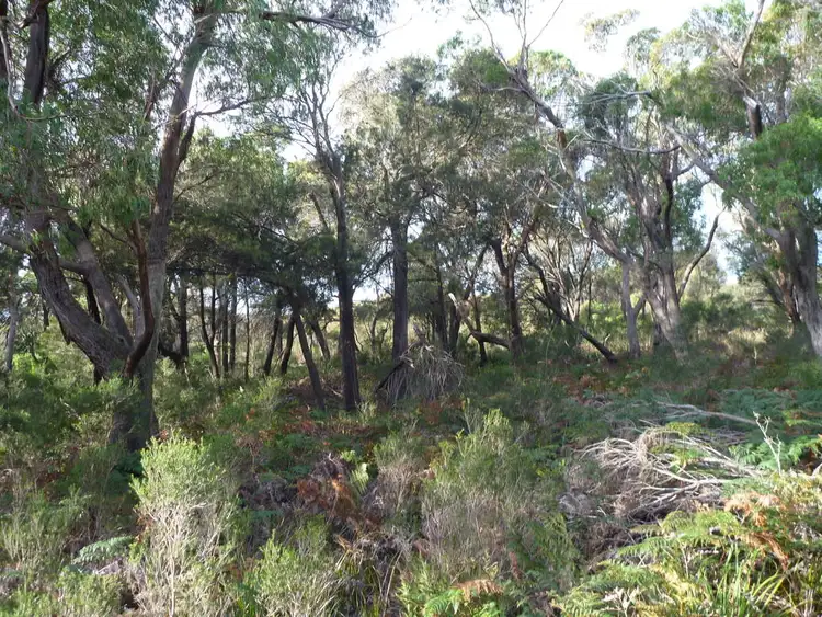 Sixth view of Homely land listing, Lot 1 Top Road, Greens Beach TAS 7270