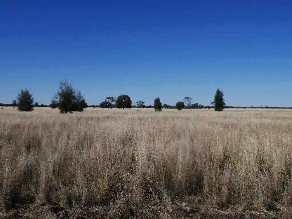 Main view of Homely rural property listing, Address available on request