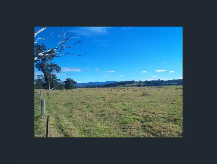 Third view of Homely rural property listing, 4647 Princes Highway, Bodalla NSW 2545