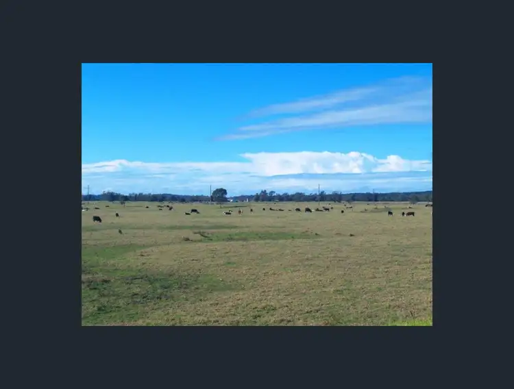 Fifth view of Homely rural property listing, 4647 Princes Highway, Bodalla NSW 2545