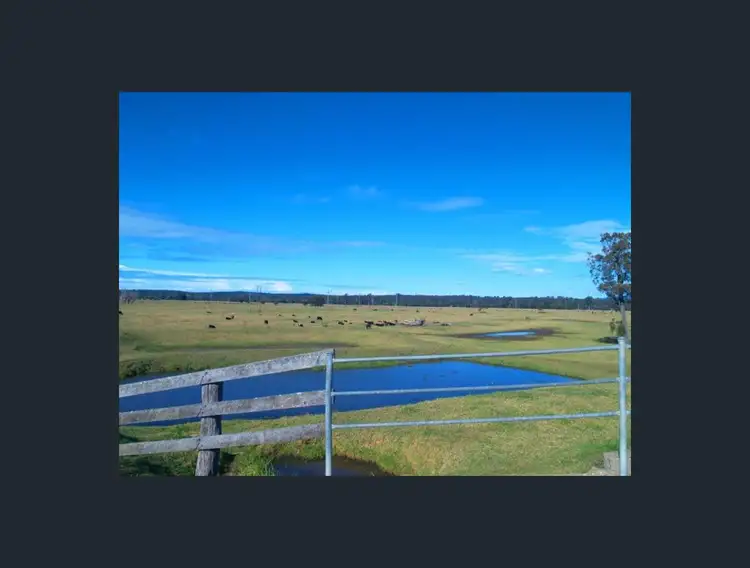 Sixth view of Homely rural property listing, 4647 Princes Highway, Bodalla NSW 2545