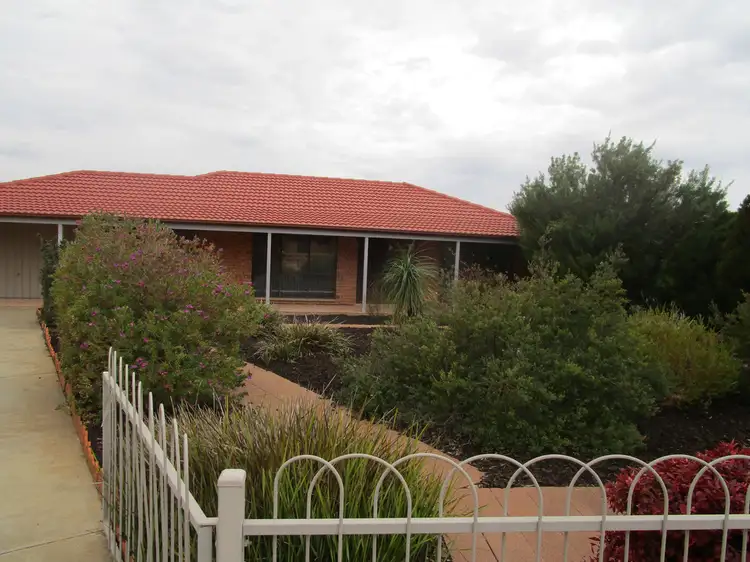 10 Carmel Court, Barmera SA 5345