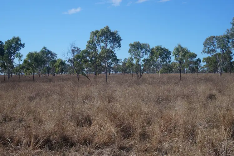 Third view of Homely rural property listing, 79 AIRSTRIP ROAD, Nebo QLD 4742