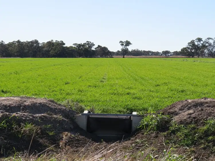 Fifth view of Homely rural property listing, 666 Lindifferon Lane, Deniliquin NSW 2710