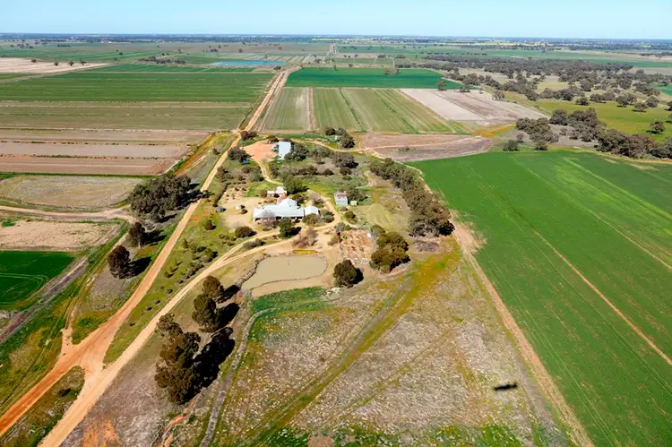 Sixth view of Homely rural property listing, 666 Lindifferon Lane, Deniliquin NSW 2710