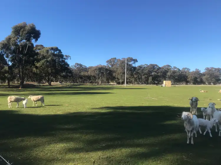 Main view of Homely land listing, 11 Rayners Road, Neilborough VIC 3570