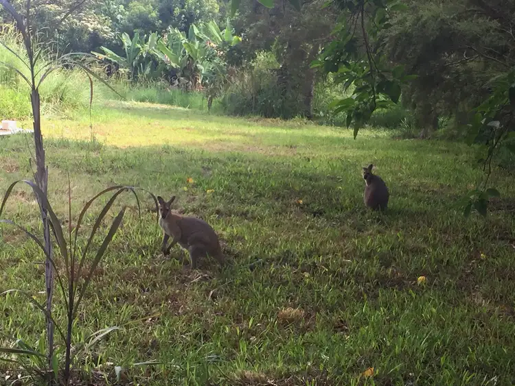 Fifth view of Homely land listing, 2/78 Cecil St, Nimbin NSW 2480