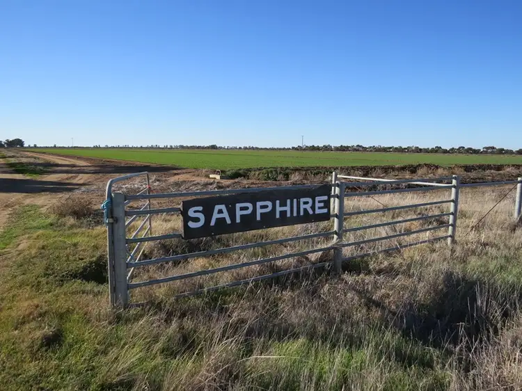 Main view of Homely rural property listing, 609 Lindifferon Lane, Deniliquin NSW 2710