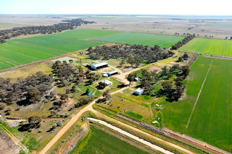 Third view of Homely rural property listing, 609 Lindifferon Lane, Deniliquin NSW 2710