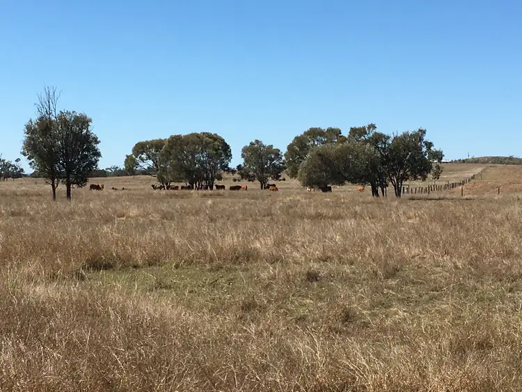 Second view of Homely rural property listing, 537 Milman Road, Milman QLD 4702