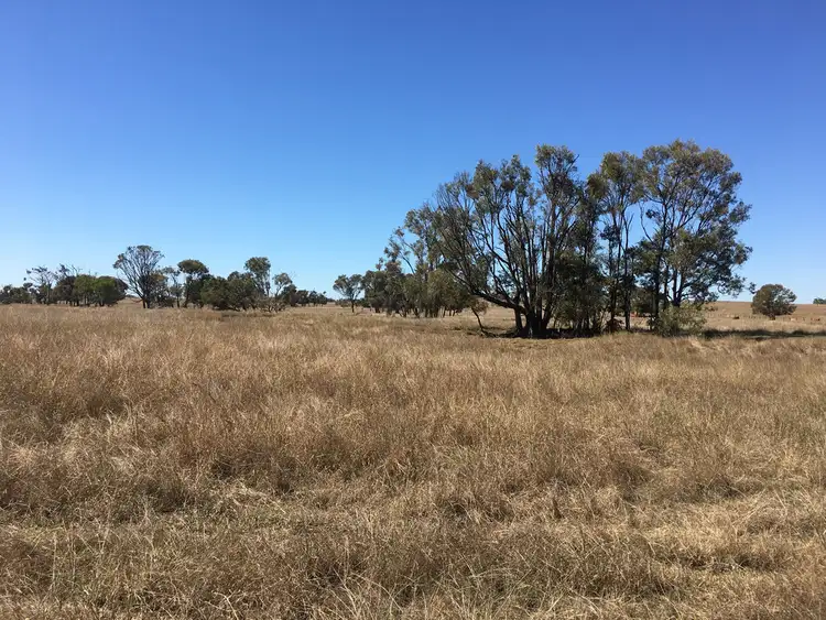 Third view of Homely rural property listing, 537 Milman Road, Milman QLD 4702