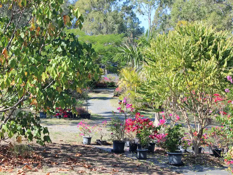 Second view of Homely house listing, 71 Falconer Road, Woodhill QLD 4285