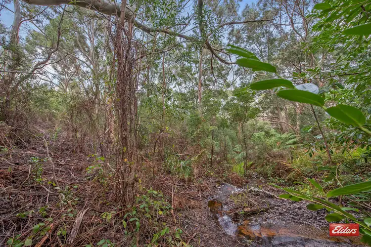 Third view of Homely land listing, 6 Harrison Street, Strahan TAS 7468