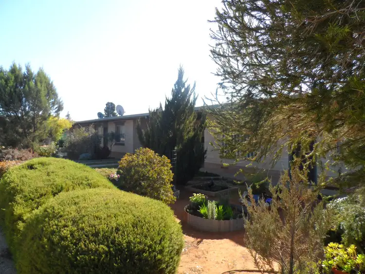 Second view of Homely house listing, 31 Fourth Street, Loxton SA 5333