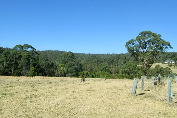 Third view of Homely land listing, Lot 212 Fishermans Paradise Road, Fishermans Paradise NSW 2539