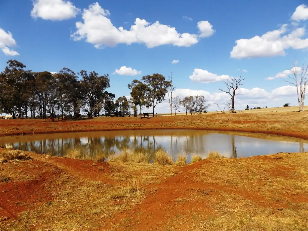 Main view of Homely rural property listing, lot 125 Johnstons Road, Mannuem QLD 4610