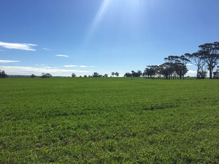 Main view of Homely rural property listing, Lot 617 Nambling North Road, Dowerin WA 6461
