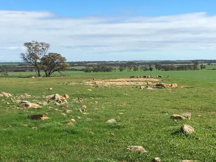Third view of Homely rural property listing, Lot 617 Nambling North Road, Dowerin WA 6461