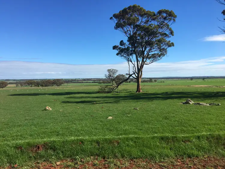 Fifth view of Homely rural property listing, Lot 617 Nambling North Road, Dowerin WA 6461