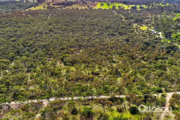 Third view of Homely other listing, Allot 1 Repeater Station Road, Naracoorte SA 5271