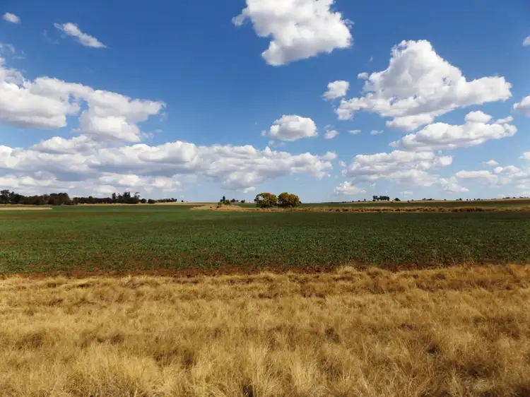 Main view of Homely rural property listing, lot 124 Johnstons Road, Mannuem QLD 4610