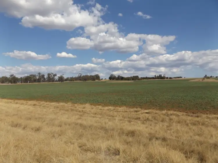 Fifth view of Homely rural property listing, lot 124 Johnstons Road, Mannuem QLD 4610