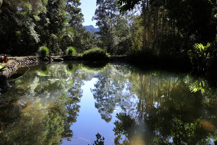 Fifth view of Homely house listing, 4/438 Crofton Road, Nimbin NSW 2480