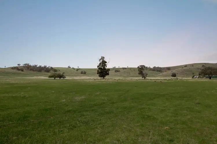 Sixth view of Homely land listing, 336 McArdles Lane, Dunluce VIC 3472