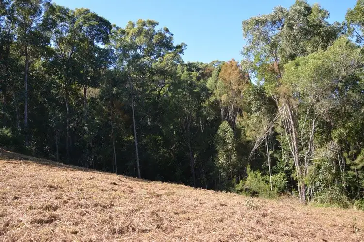 Third view of Homely land listing, 82 Camp Flat Road, Bli Bli QLD 4560