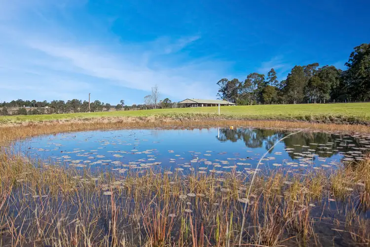 Sixth view of Homely rural property listing, 1128 Comboyne Road, Wingham NSW 2429