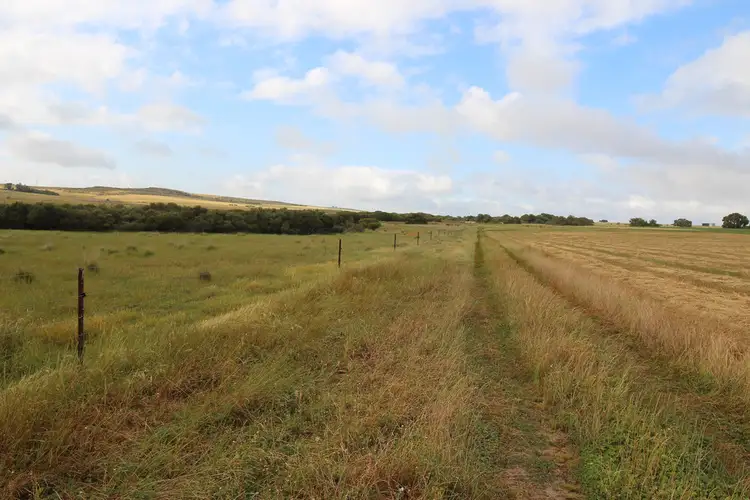 Third view of Homely rural property listing, 41 Springhill Road, Jurien Bay WA 6516