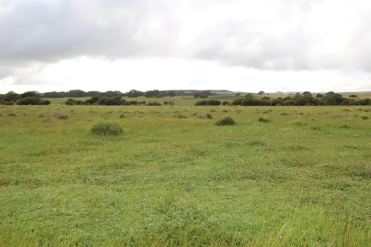 Fourth view of Homely rural property listing, 41 Springhill Road, Jurien Bay WA 6516