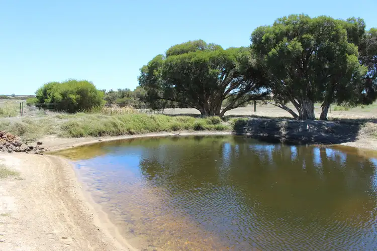 Seventh view of Homely rural property listing, 41 Springhill Road, Jurien Bay WA 6516