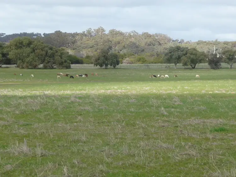 Fourth view of Homely rural property listing, 673 Bartram Road, Jelcobine WA 6306