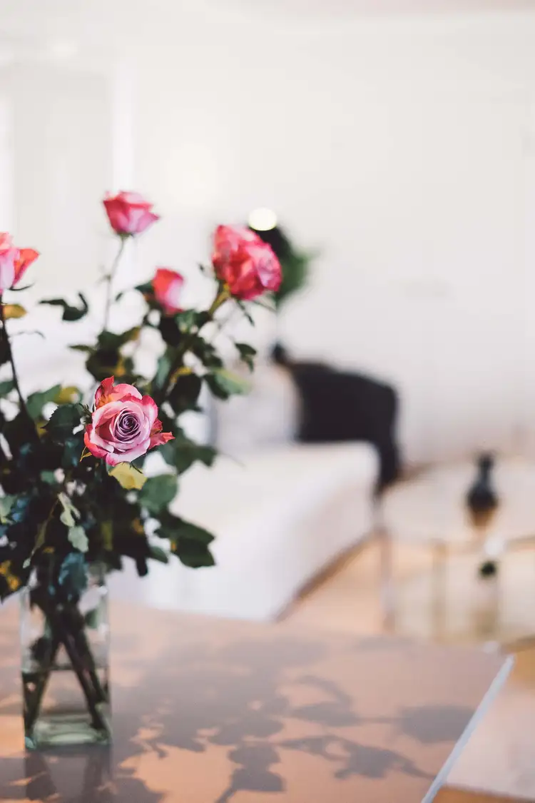 Fifth view of Homely apartment listing, 38/1260 Pittwater Road, Narrabeen NSW 2101