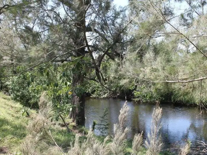 Fourth view of Homely land listing, 1337 Ipswich-Boonah Road, Peak Crossing QLD 4306