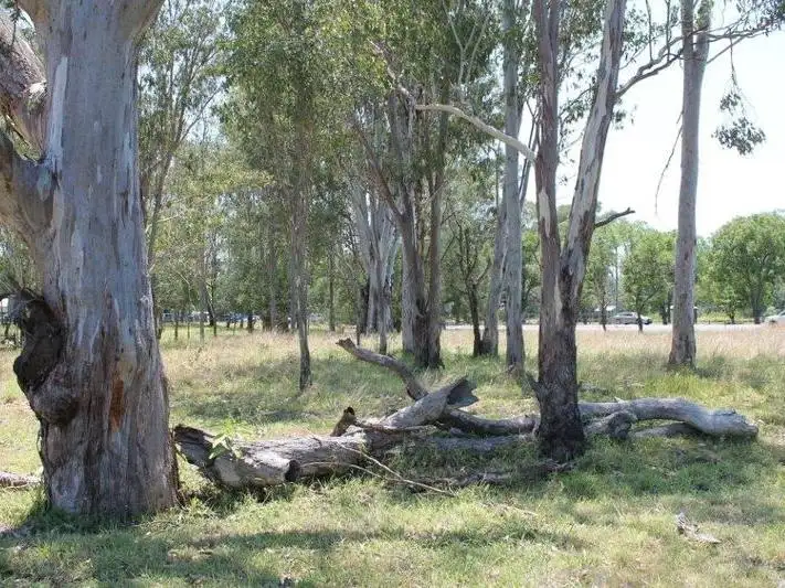 Fifth view of Homely land listing, 1337 Ipswich-Boonah Road, Peak Crossing QLD 4306