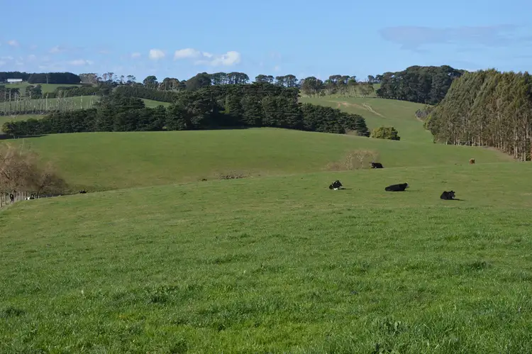 Third view of Homely rural property listing, 80 LEGGETTS ROAD, Fish Creek VIC 3959