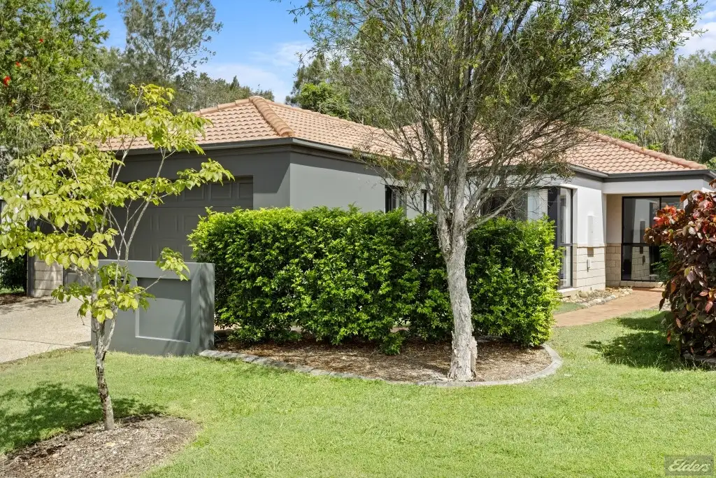 Main view of Homely house listing, 13 Melastoma Way, Arundel QLD 4214