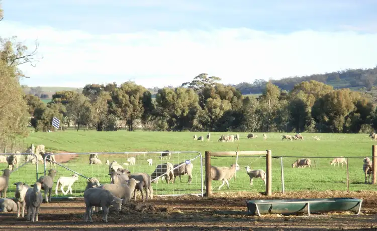 Sixth view of Homely rural property listing, 713 Northam-York Rd, Northam WA 6401