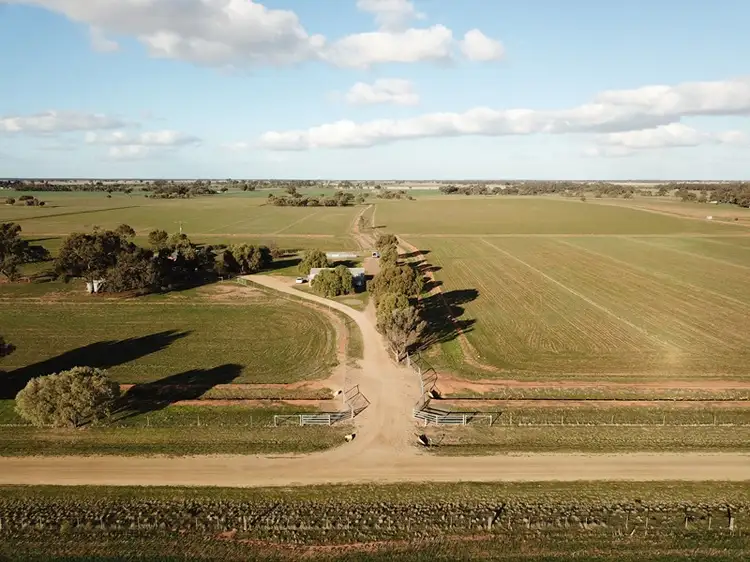 Second view of Homely rural property listing, 83 Hogans Lane, Deniliquin NSW 2710