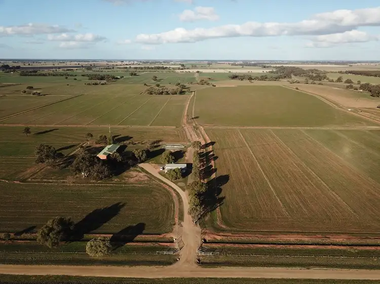 Fifth view of Homely rural property listing, 83 Hogans Lane, Deniliquin NSW 2710