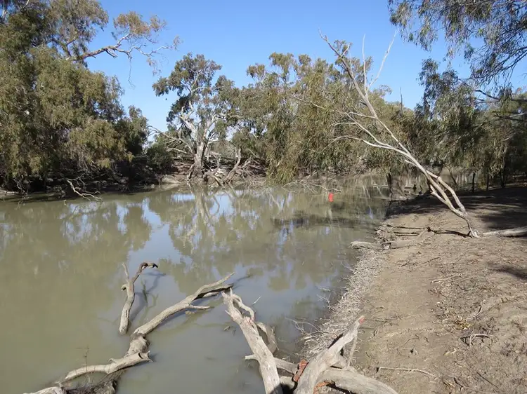 Second view of Homely rural property listing, 83 Billabong Creek Drive, Conargo NSW 2710